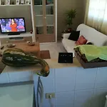 Проживание в семье Casa Papi *