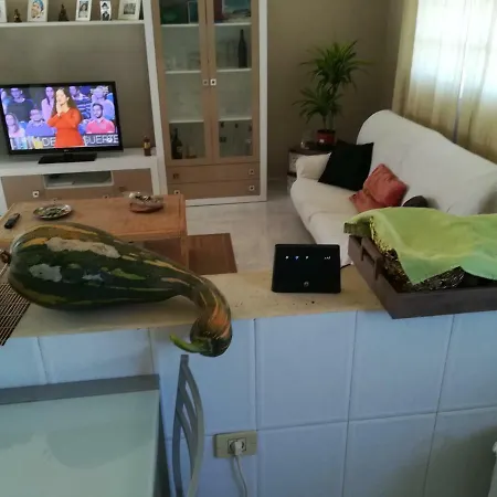 Проживание в семье Casa Papi *