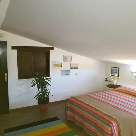 Проживание в семье Casa Papi