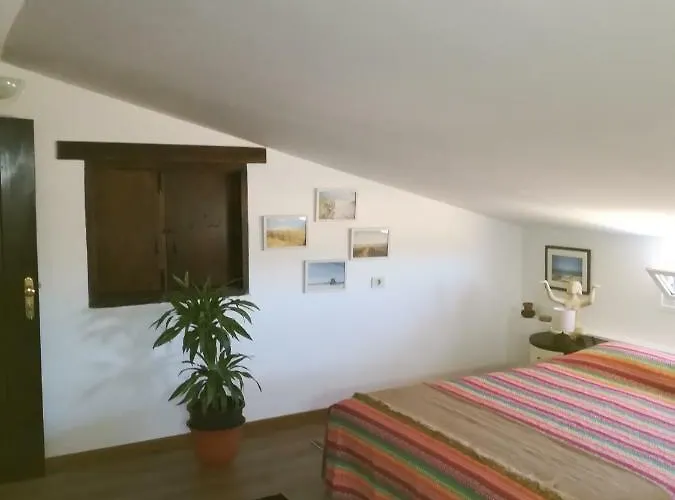 Проживание в семье Casa Papi