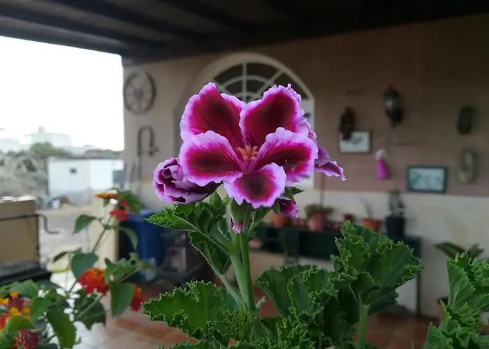 Casa Papi Rum i privatbostad Lajares